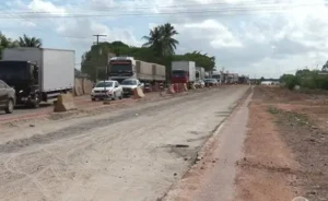 anelviario