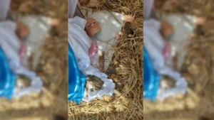 presepio-e-alvo-de-vandalismo-em-caninde-e-imagem-de-nossa-senhora-e-destruida-2-1024x576.jpg